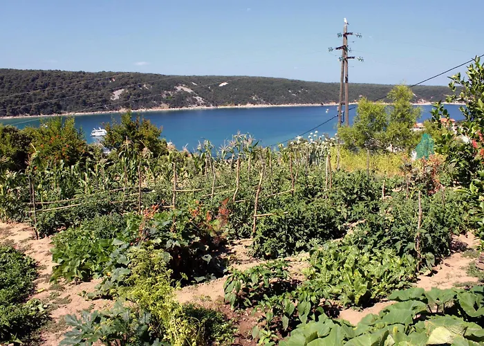 With Parking Space Kampor, Rab - 5032